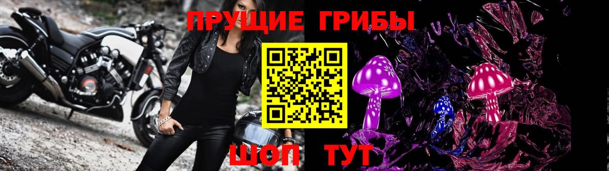 Галлюциногенные грибы Psilocybe Ханты-Мансийск